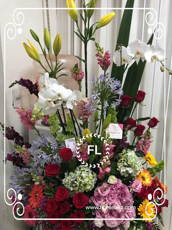 Arreglo con Flores Finas F-EX-22 | Florería Liz | Arreglos florales en  Monterrey